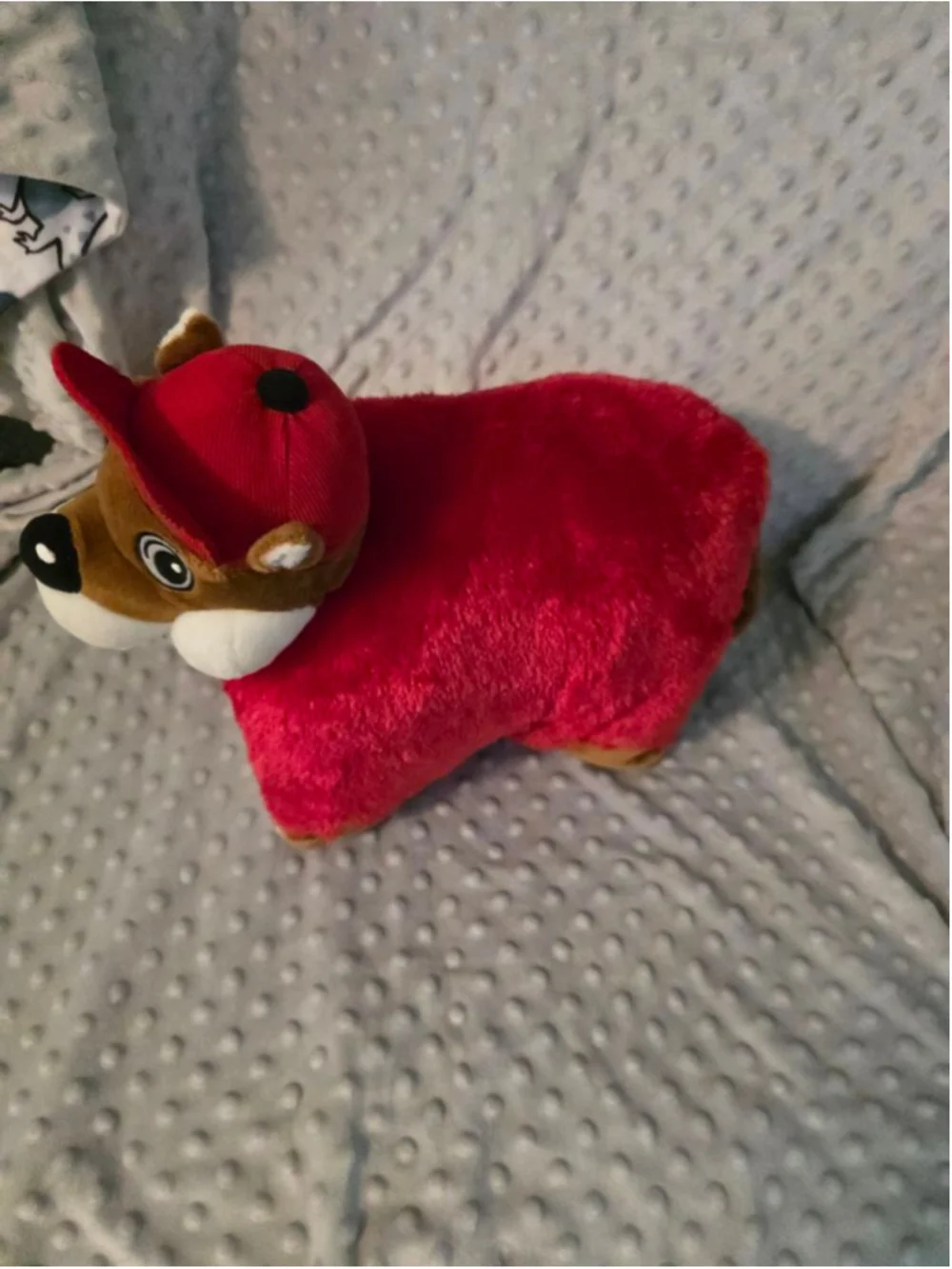 Buc-Ees experience unparalleled
